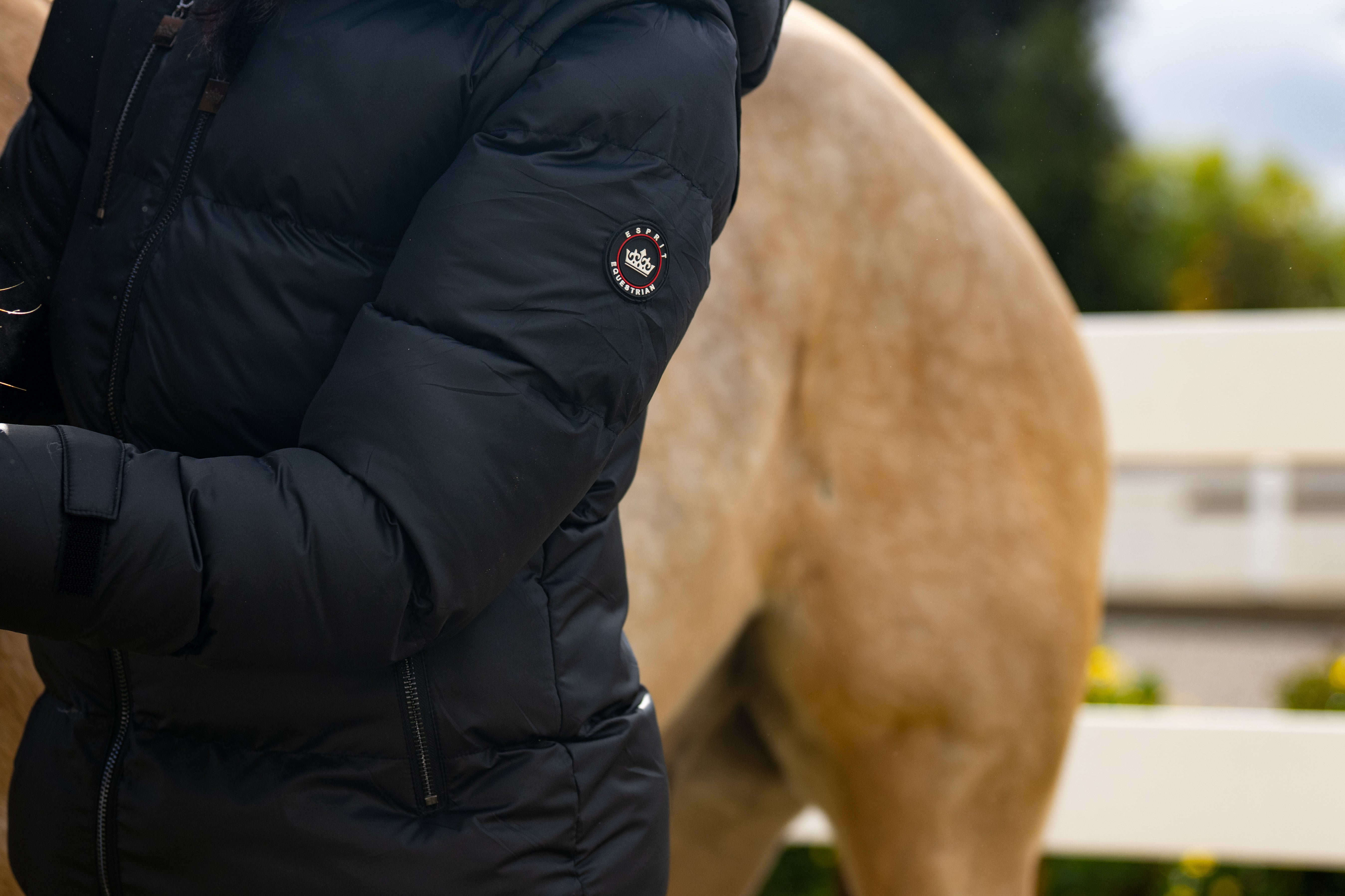 Jacket - Vest Combo